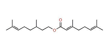 (E)-3,7-Dimethyl-6-octenyl 3,7-dimethyl-2,6-octadienoate